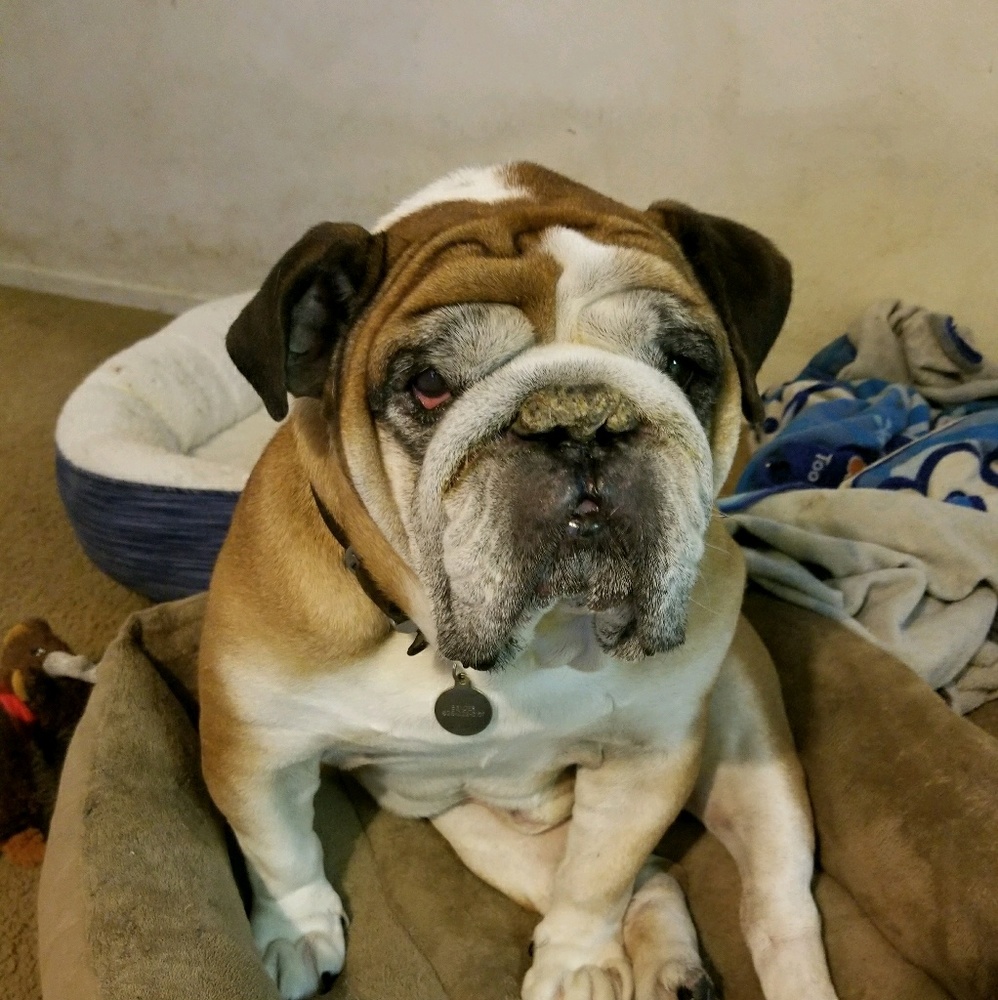 Meet your Posher, Andres